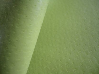 Lime Green Polished Pigskin leather (End of Hide) - Image 3